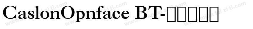 CaslonOpnface BT字体转换